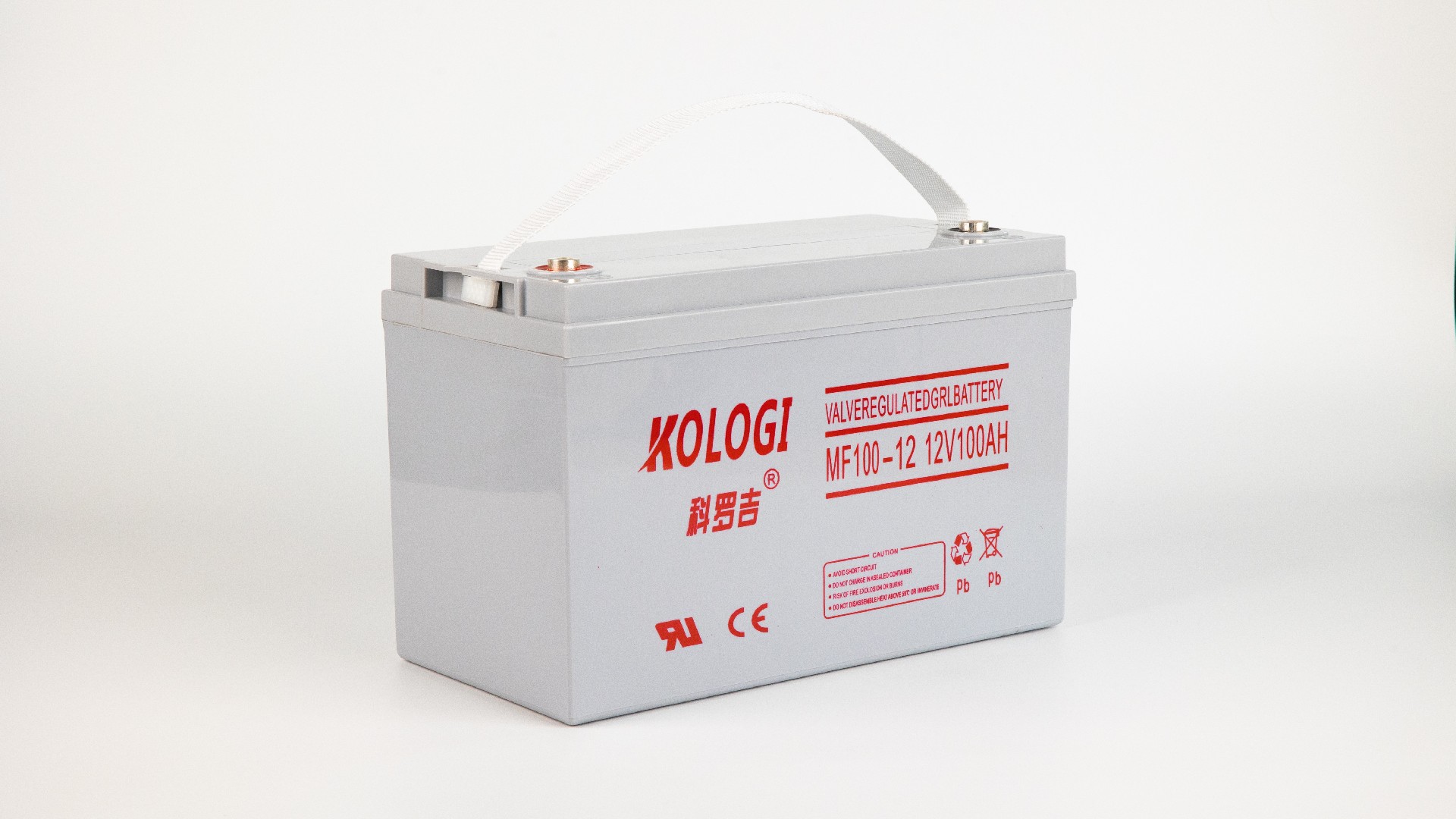 12V100AH蓄电池